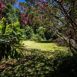 Apartment Tranquil Rainforest, Kuranda